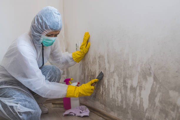 Best Crawl Space Mold Removal  in Carthage, MO