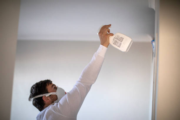 Best Mold Remediation  in Carthage, MO